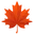 Compañía Fantástica favicon